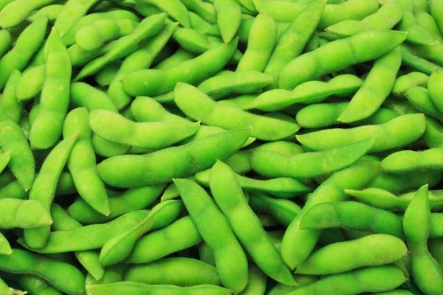 akita-edamame-04.jpg