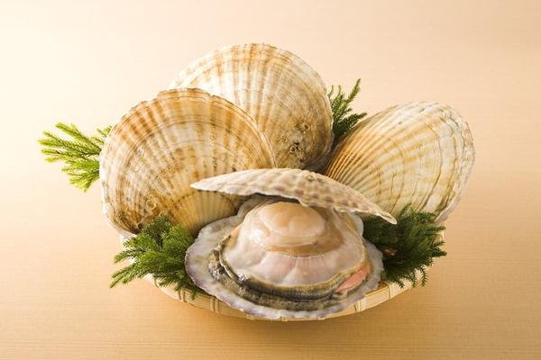 hotate-syun-02.jpg