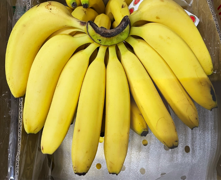 台湾産バナナ 1房 約2.4kg 2026/05/01