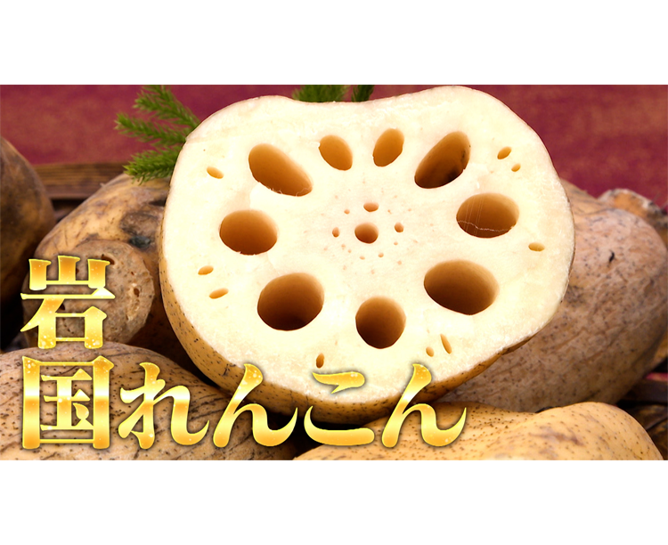 【送料無料】岩国れんこん 2kg 2026/03/13