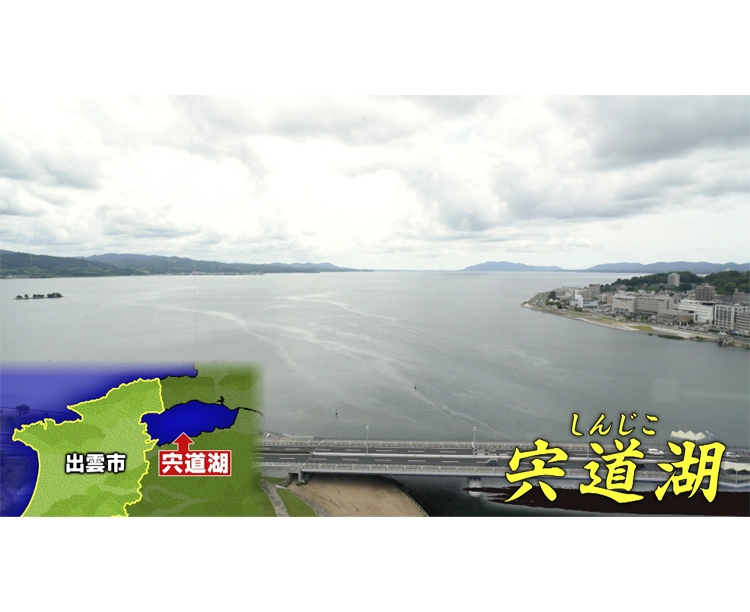 訳あり!島根県 宍道湖産 しじみ 2026/07/09