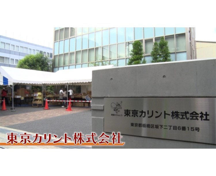 【40袋】かりんとう大容量バラエティセット 2025/11/14