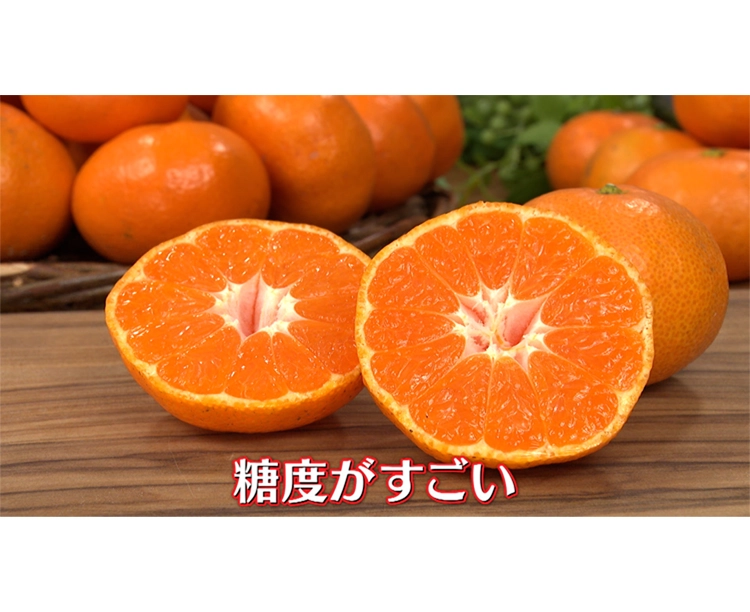 【正規品】愛媛県宇和島産みかん(5kg・Mサイズ) 2025/12/18