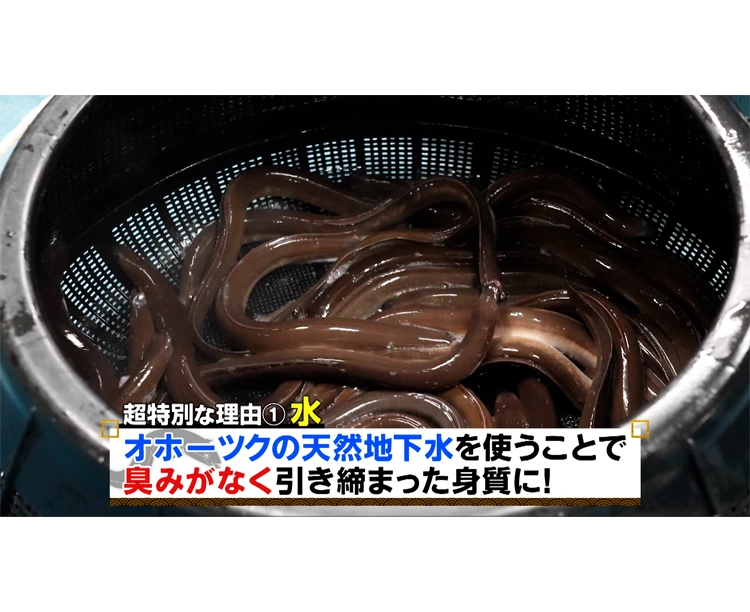 訳あり!オホーツク流氷うなぎ 2026/04/17