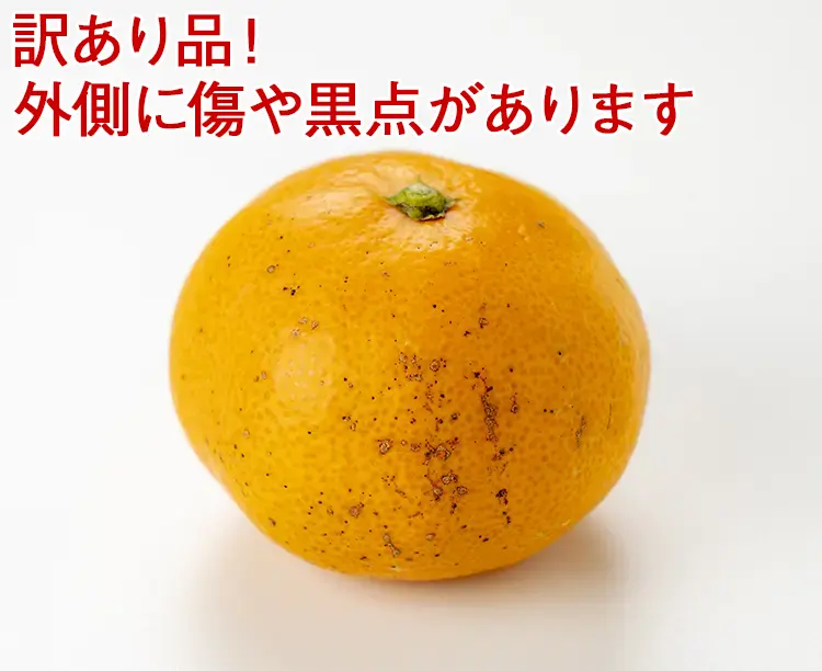 【2セット】「訳あり!愛媛県宇和島産みかん」5kg 2025/11/13 お得な2セット