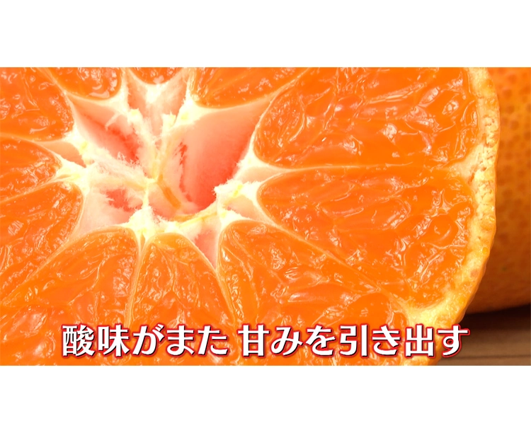 【正規品】愛媛県宇和島産みかん(5kg・Mサイズ) 2025/12/18