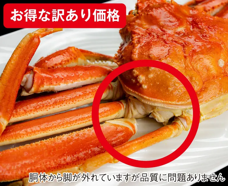 訳あり!カナダ産ボイルずわいがに 1kg(2尾) 2025/12/19 1セット