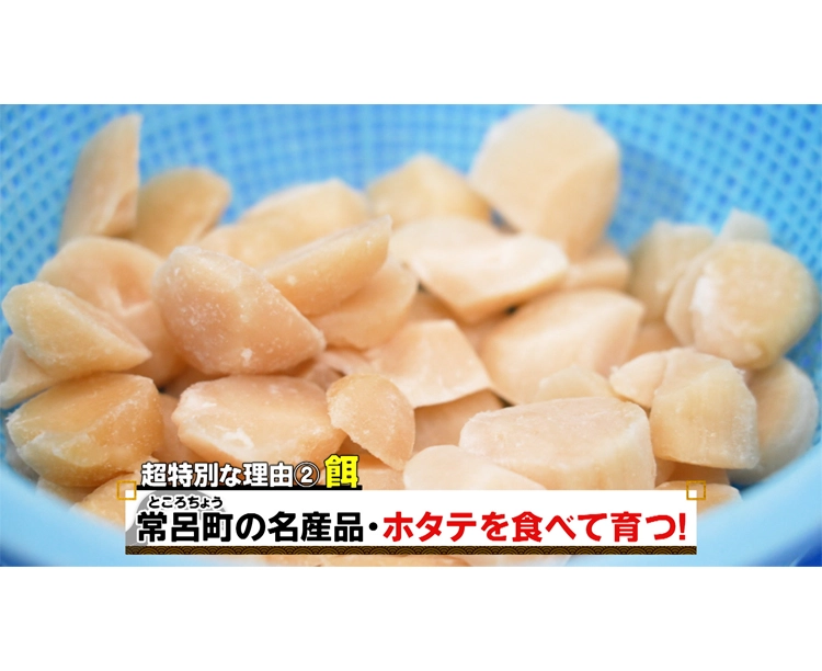 訳あり!オホーツク流氷うなぎ 2026/04/17