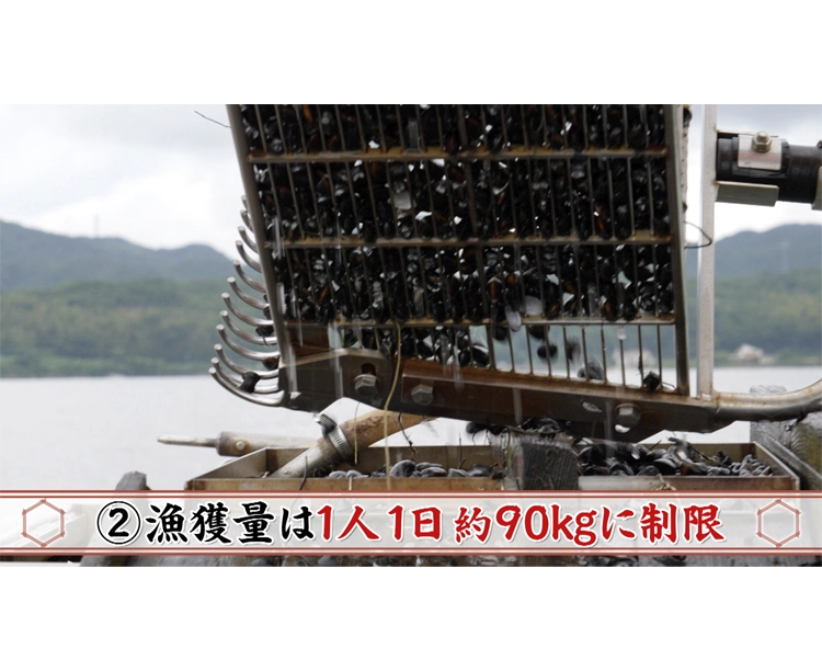 訳あり!島根県 宍道湖産 しじみ 2026/07/09