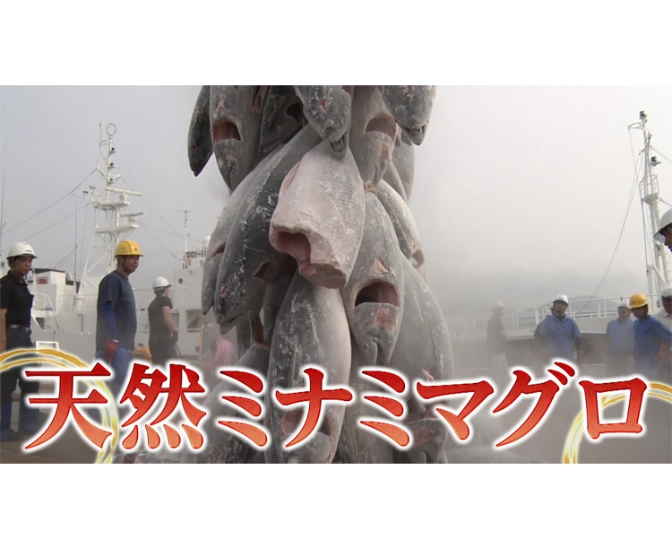 訳あり!天然ミナミマグロの切り落とし 500g 2026/08/27 500g