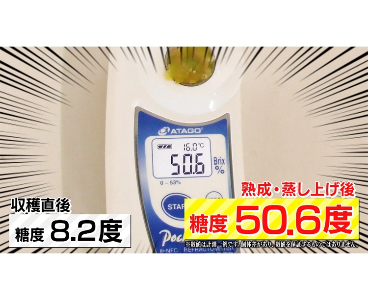 【お得な2セット】訳あり!茨城県産 紅はるか 干し芋 2026/02/03 お得な2セット