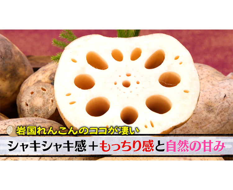 【送料無料】岩国れんこん 2kg 2026/03/13