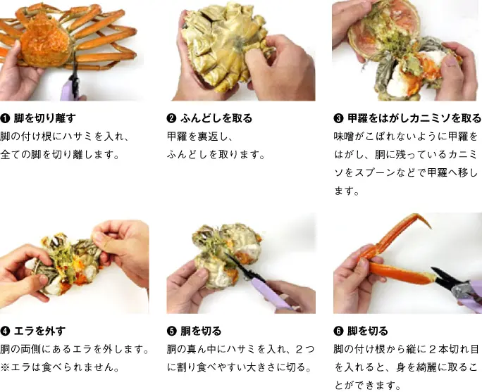 訳あり!カナダ産ボイルずわいがに 1kg(2尾) 2025/12/19 1セット