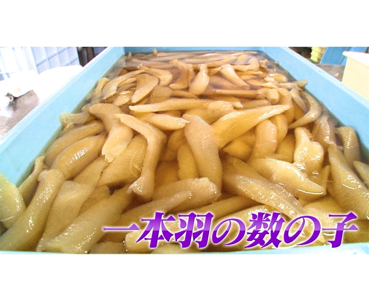 【2セット】北海道仕込み 豪華松前漬け2種セット 2025/11/13 2セット