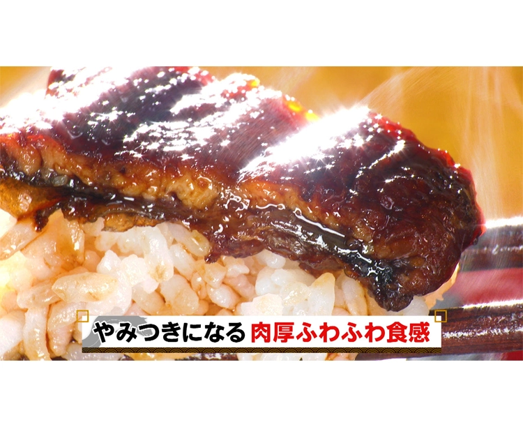 訳あり!オホーツク流氷うなぎ 2026/04/17