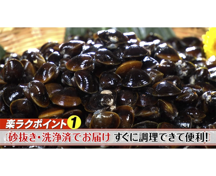 訳あり!島根県 宍道湖産 しじみ 2026/07/09