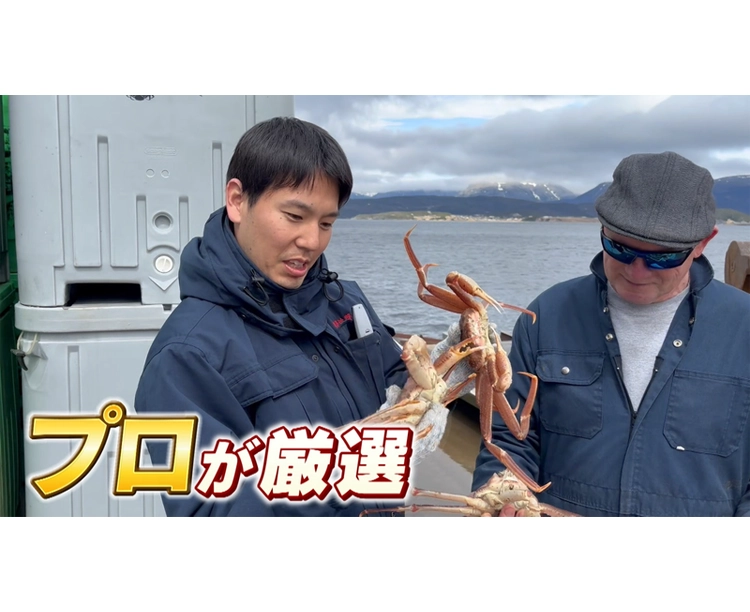 訳あり!カナダ産ボイルずわいがに 2kg(4尾) 2025/12/19 お得な2セット