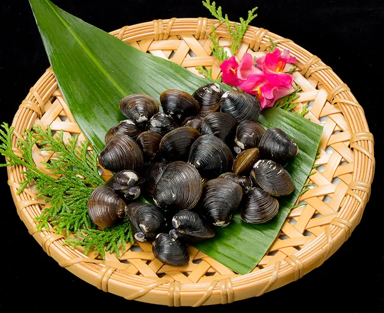 <年末配送>北の市場の目利きが厳選!豪華海鮮「七福神セット」 2025/12/26