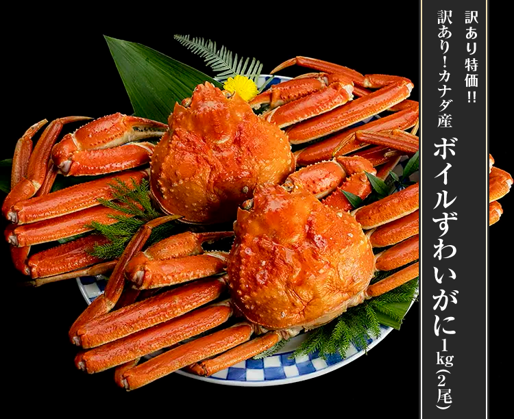 訳あり!カナダ産ボイルずわいがに 1kg(2尾) 2026/02/06 1セット