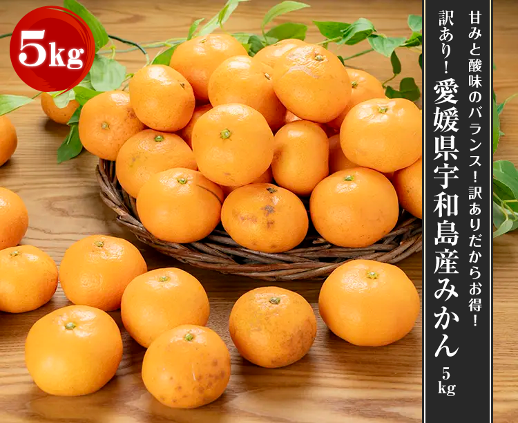 「訳あり!愛媛県宇和島産みかん」5kg 2026/01/26 5kg
