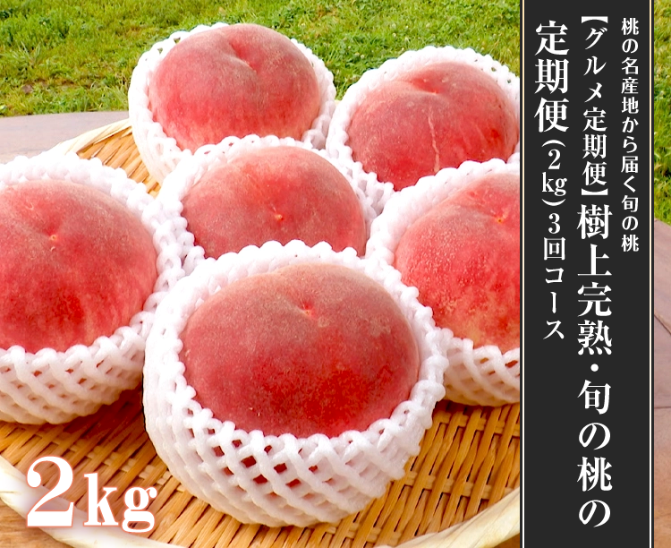 【グルメ定期便】樹上完熟・旬の桃の定期便(2㎏)3回コース