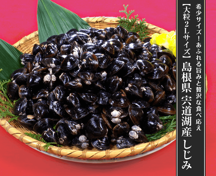 【大粒 2Lサイズ】島根県 宍道湖産 しじみ