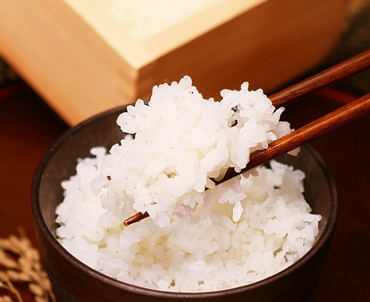 【グルメ定期便】【定期便】七福会の「コシヒカリ5キロ」定期便(自動継続)