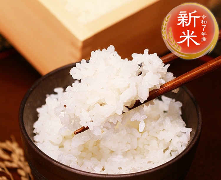 【グルメ定期便】【定期便】七福会の「コシヒカリ10キロ」定期便 (自動継続)