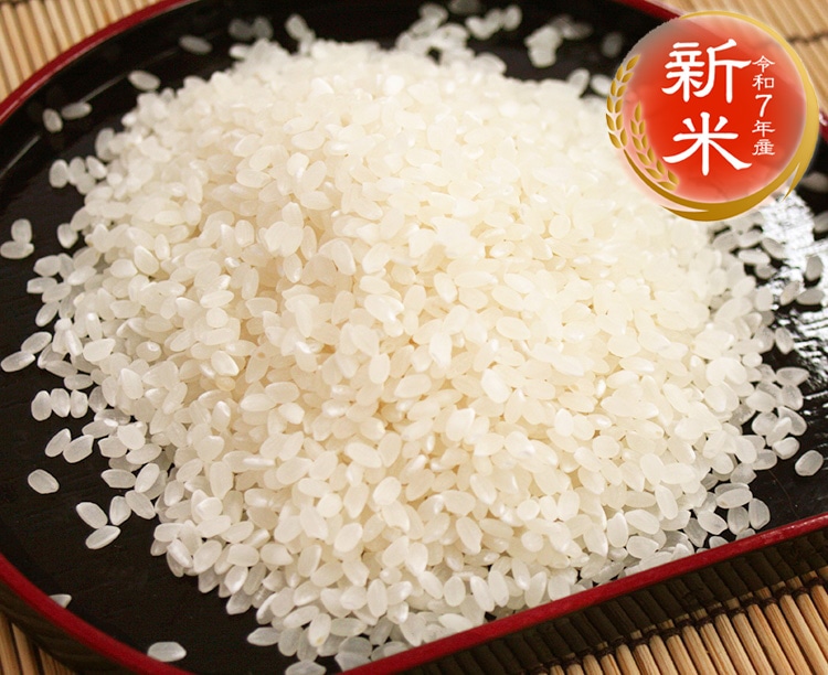 【精米後即送!】魚沼産コシヒカリ 5kg