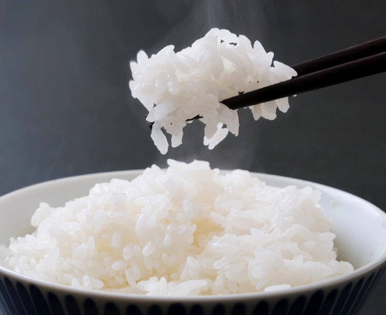 新潟県産「新之助」簡単ご飯パック24食