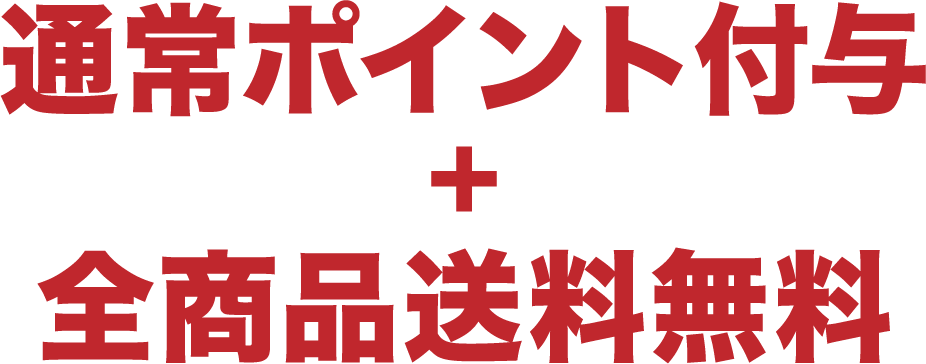 通常ポイント不要＋全商品送料無料＊