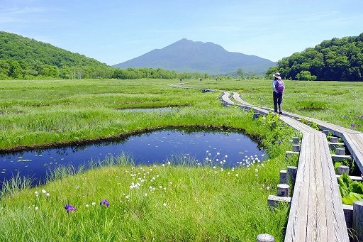 尾瀬ヶ原（イメージ）.jpg