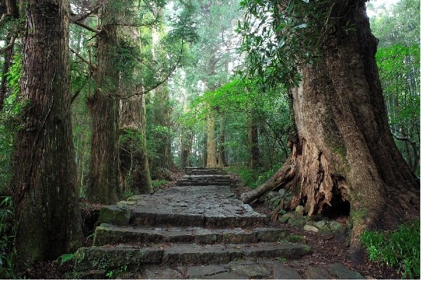 熊野古道・大門坂.jpg