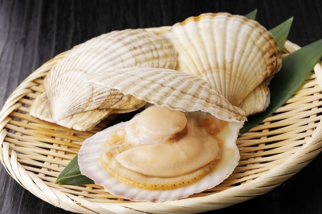hotate-eiyou-02.jpg