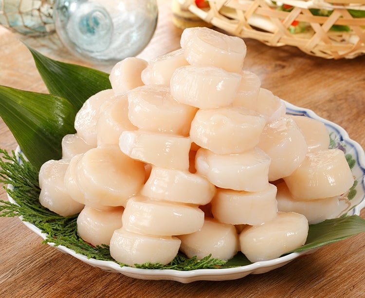 hotate-eiyou-08.jpg