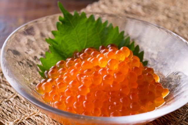 ikura-reitou-03.jpg