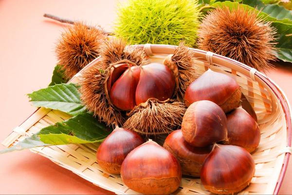 osechi-kurikinton-imi-re1-05