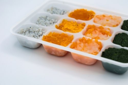 shirasu-reito-01.jpg