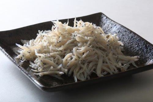 shirasu-reito-02.jpg
