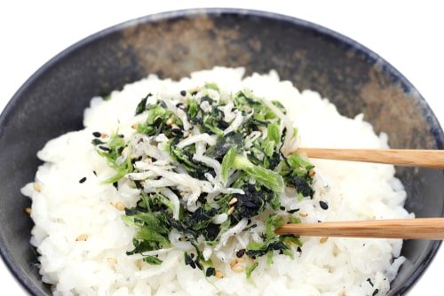 shirasu-reito-07.jpg