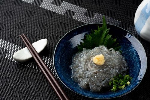 shirasu-reito-09.jpg