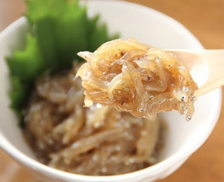 shirasu-reito-10.jpg