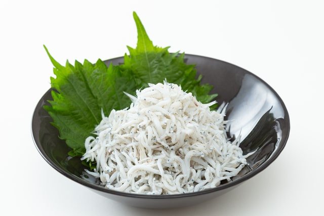 shirasu-shun-01.jpg
