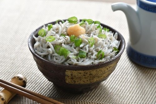 shirasu-shun-04.jpg