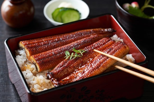 unagi-eiyou-01.jpg