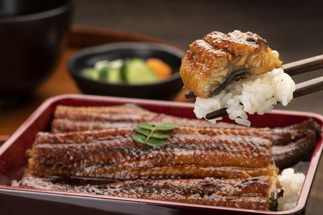 unagi-eiyou-10.jpg