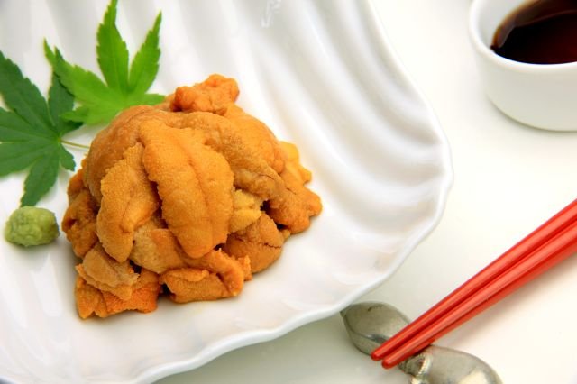 uni-eiyou-01.jpg