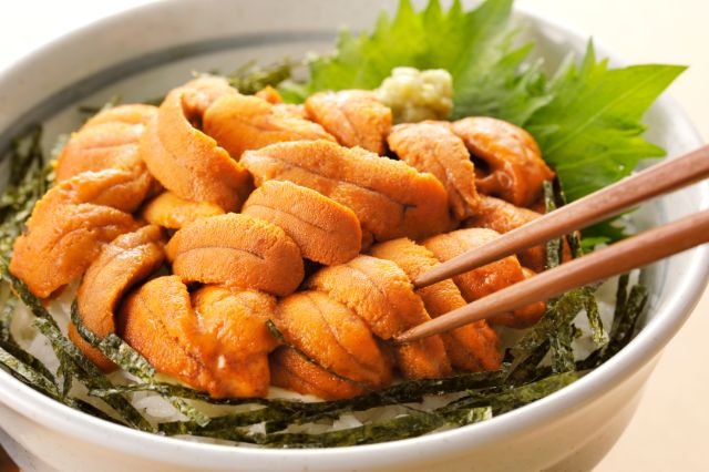 uni-eiyou-02.jpg