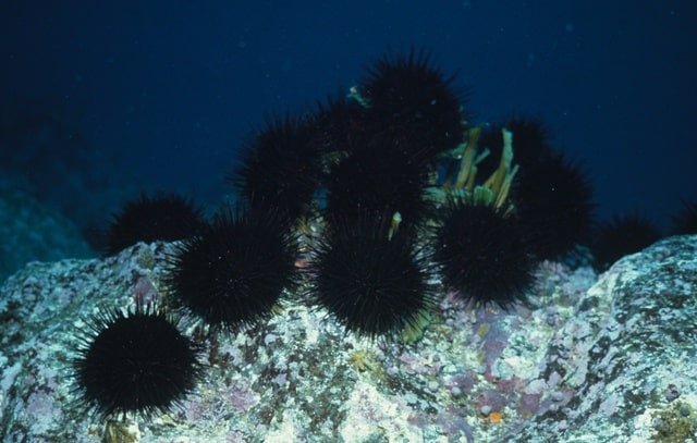 uni-syun-04.jpg