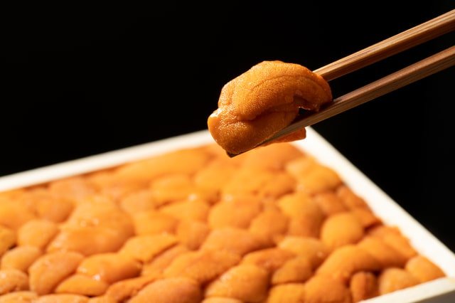 uni-syun-10.jpg